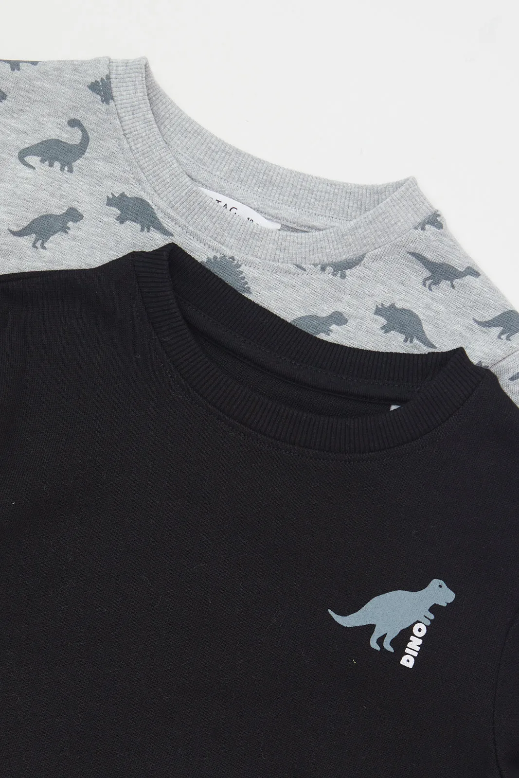 Infant Boys Grey And Black Dino Printed Sweatshirt Set (2 Piece)